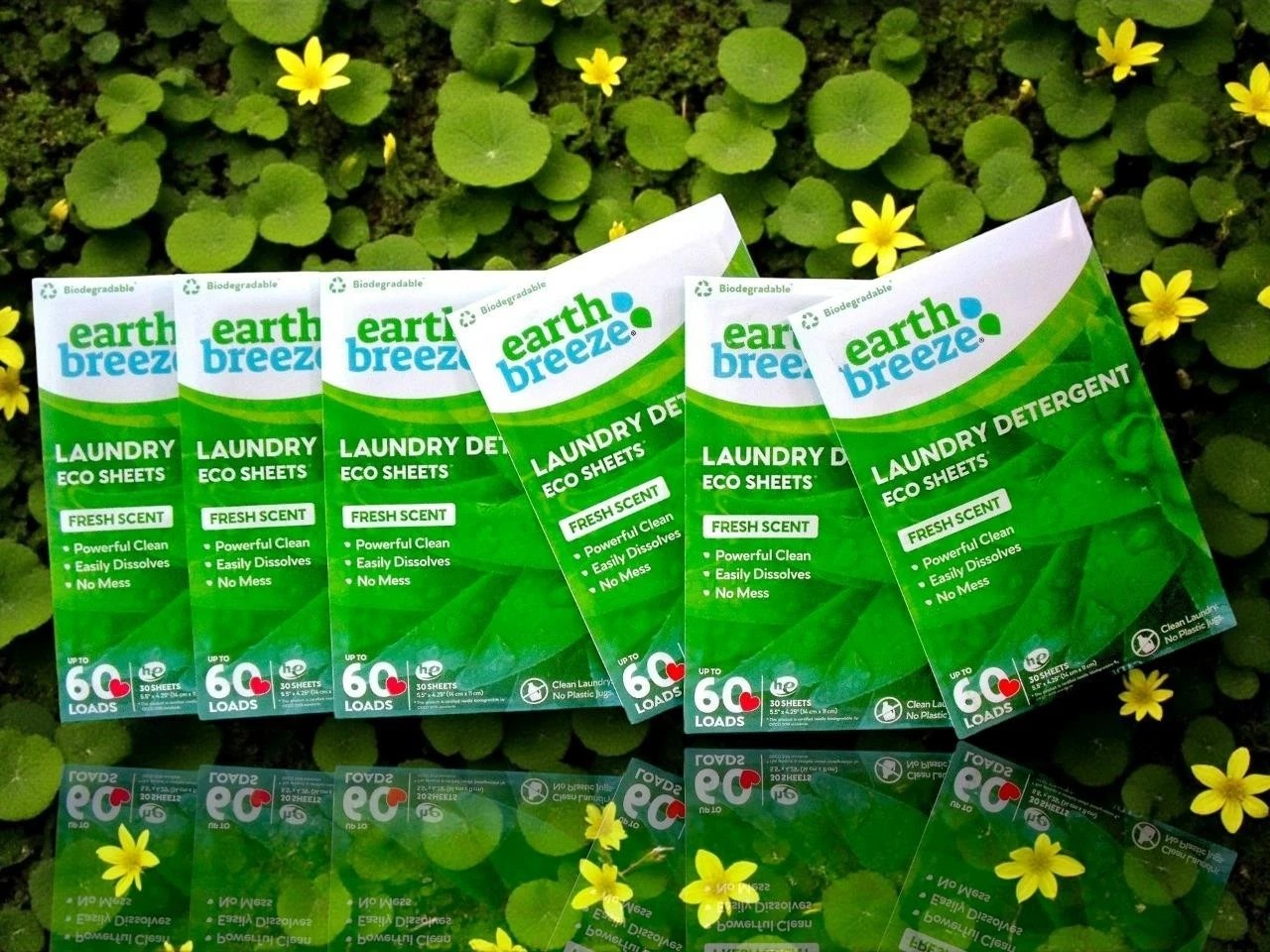 Earth Breeze 2