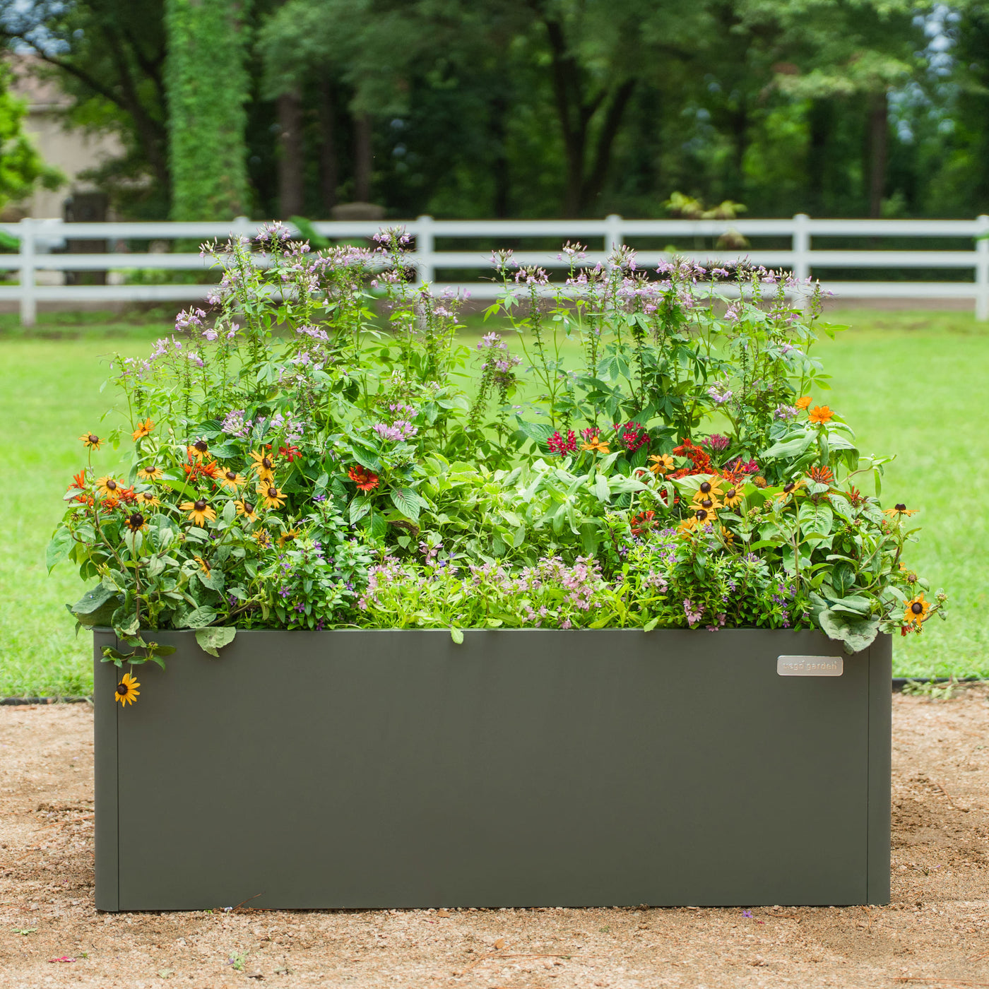 Vego Garden Modular Raised Beds 3